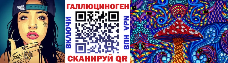 Псилоцибиновые грибы Psilocybine cubensis Болотное